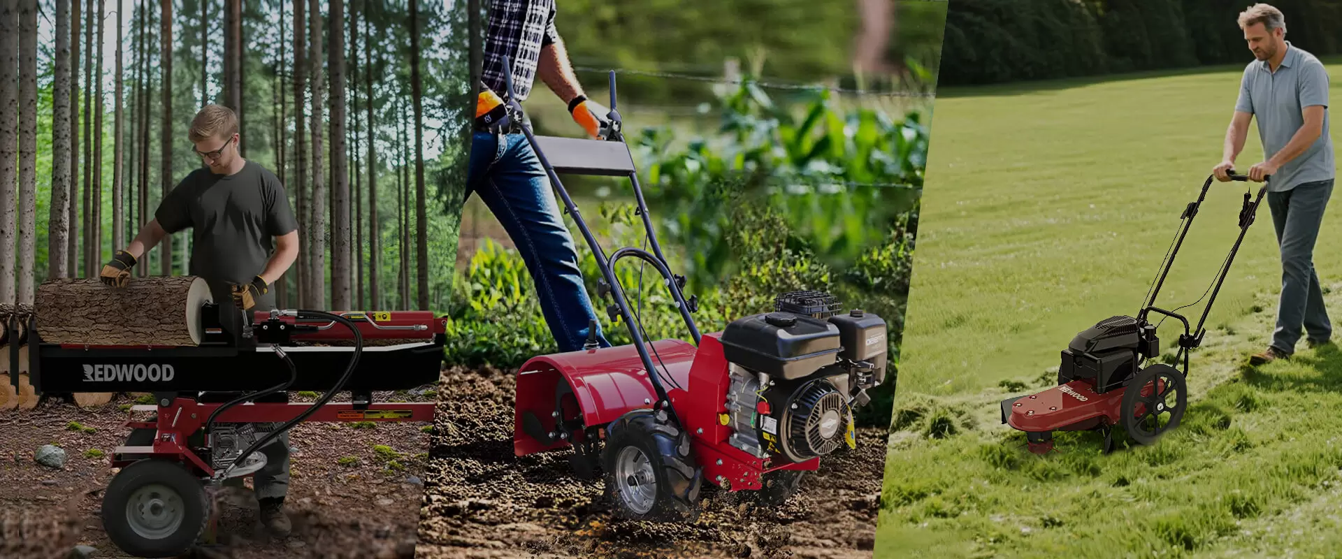 PROFESSIONAL &  INNOVATIVE SOLUTIONS